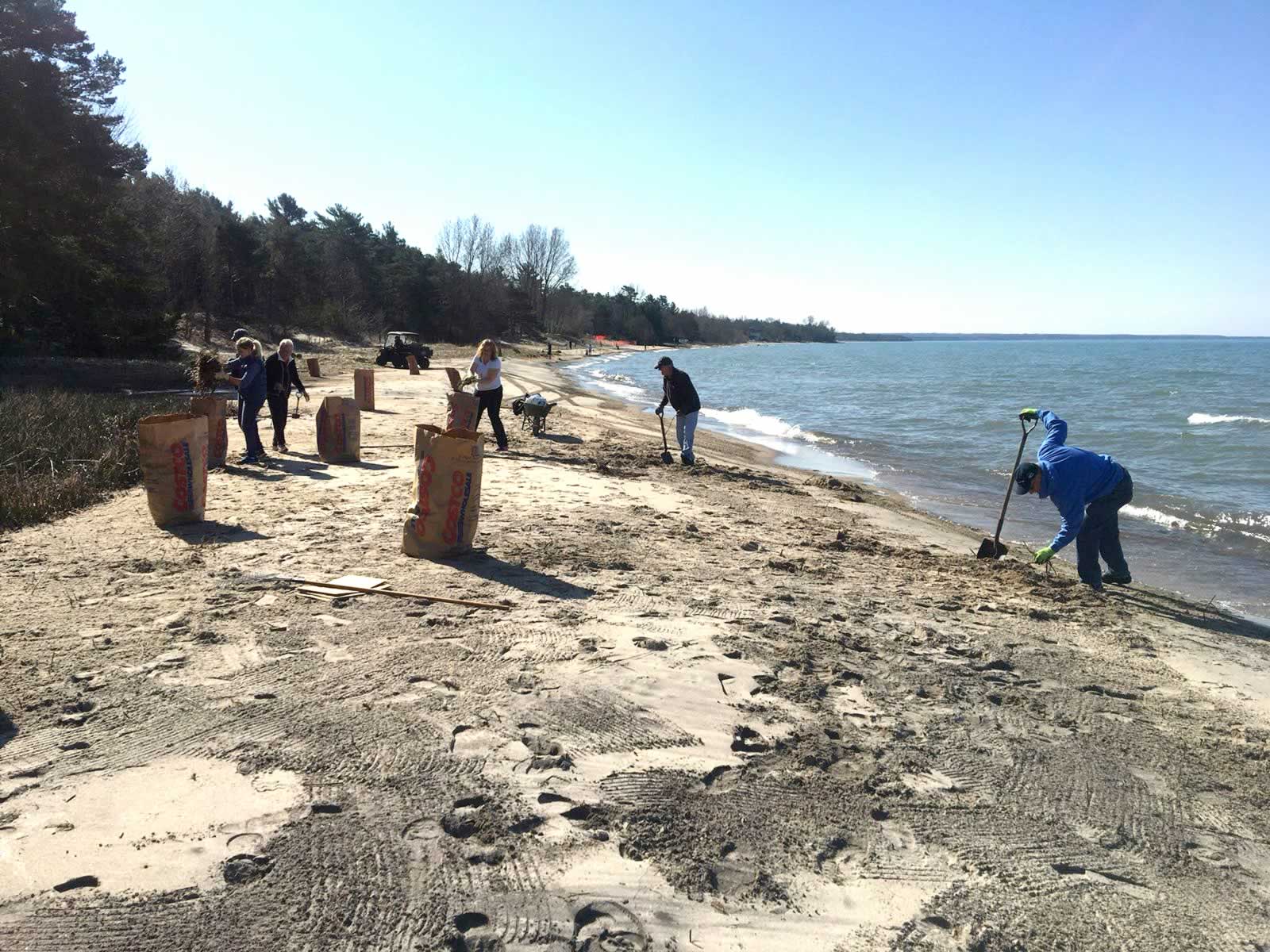 Cawaja Beach Maintenance - CPOA members cleaning the beach