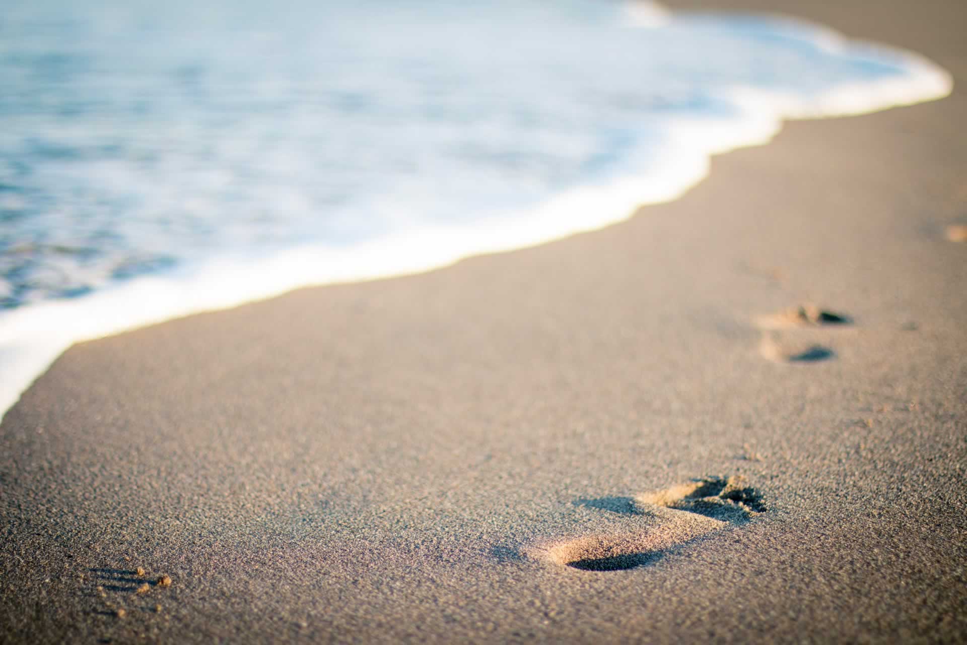 Foot steps in beach sand along the shore